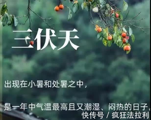 末伏|入了三伏天,夫妻把脸翻,2021年三伏天何时开始,何时结束?