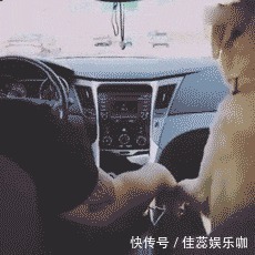 |「搞笑GIF」这是什么情况,知道现在的男孩子为什么不找女生玩了