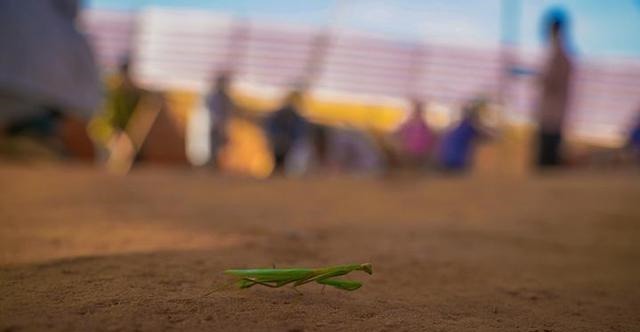 文化遗产研|考古人和他们眼中的世界vol.4|调查途中的偶遇