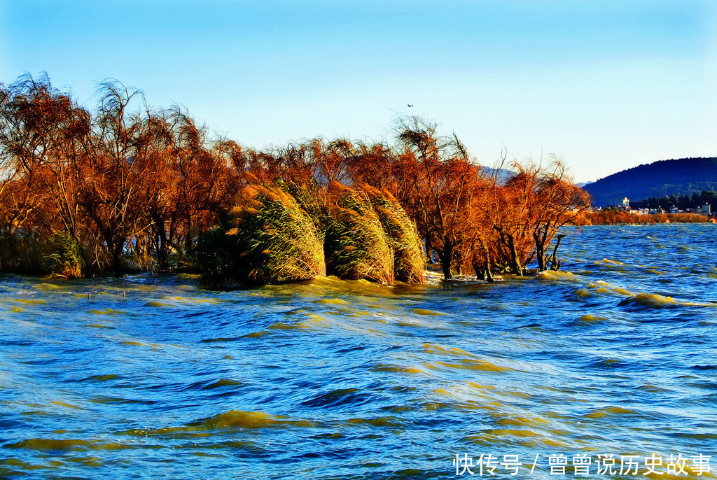 中年|这就是中国最舒服的城市,没有夏天也没有冬天,来了就不想走