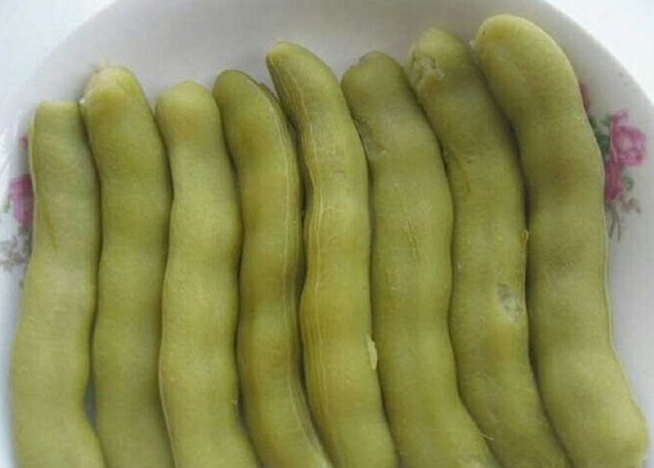 广西药植名录|农村才有的美味，是最廉价的天然肾宝，具有滋阴壮阳等攻效