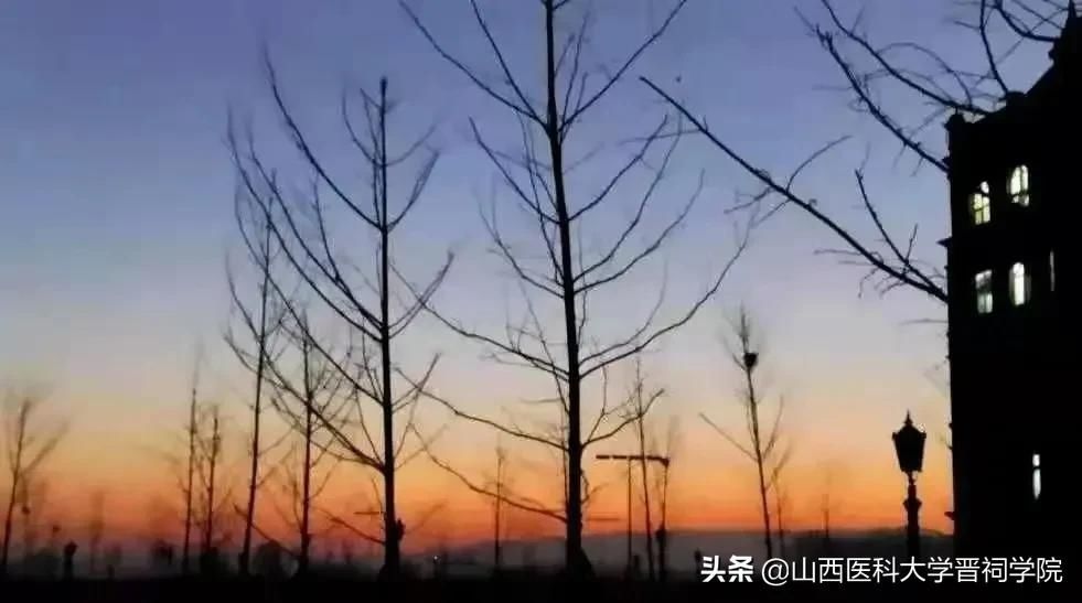 拿什么拯救你，冬季早起困难户