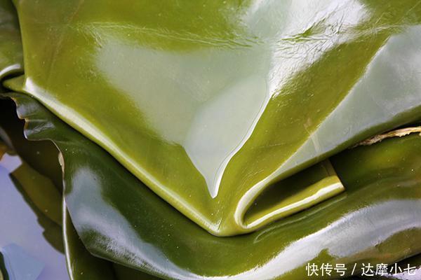 查出甲状腺结节,就不能吃海带了?专家:真正该忌口的是2种食物
