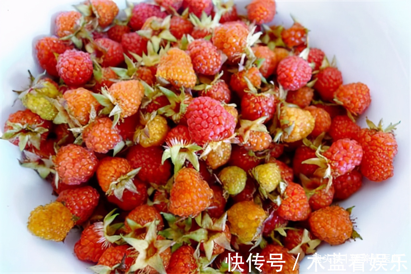 营养|对身体最好的三种食物,营养丰富,排毒养颜,好处多多!