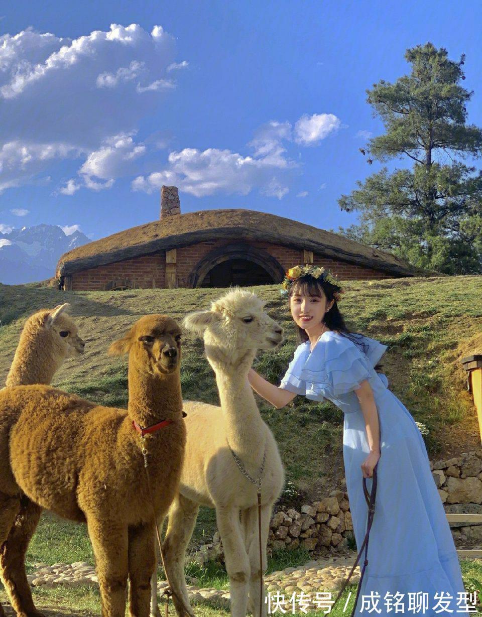 衣领|精致大方的连衣裙,休闲百搭又耐看,轻松穿出优雅浪漫的气息