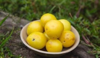 大肚子|女性常吃此果,大肚子没了,色斑淡了,子宫越来越干净,效果好