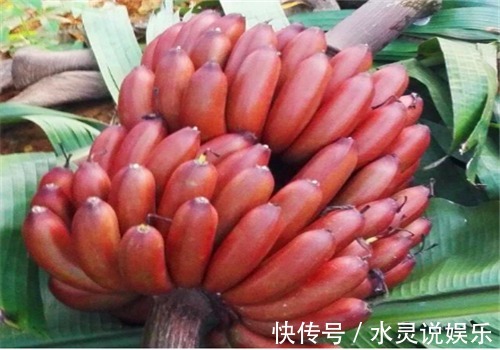 香蕉|女性不想显老,常吃4种食物,营养丰富,健脑益智,好处多多