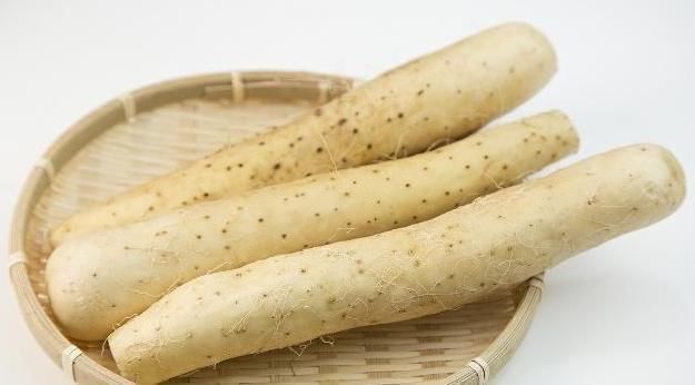 肾脏|养肾的“黄金期”，多吃3物、做好3事，肾或许会“感激”你！