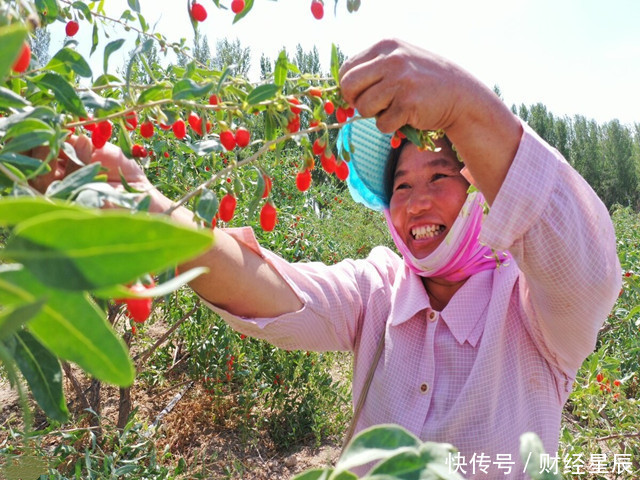  来扰|肝脏的“庇护伞”并非蒲公英而是它，每天吃一点，肝病不来扰