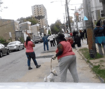 |搞笑GIF趣图: 吓我一跳,其实我第一眼没看出来