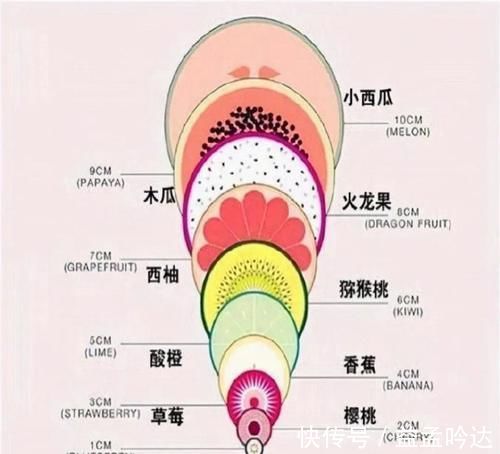 宫口|顺产十指究竟要开多大？形象“水果图”告诉你答案，孕妈太辛苦了