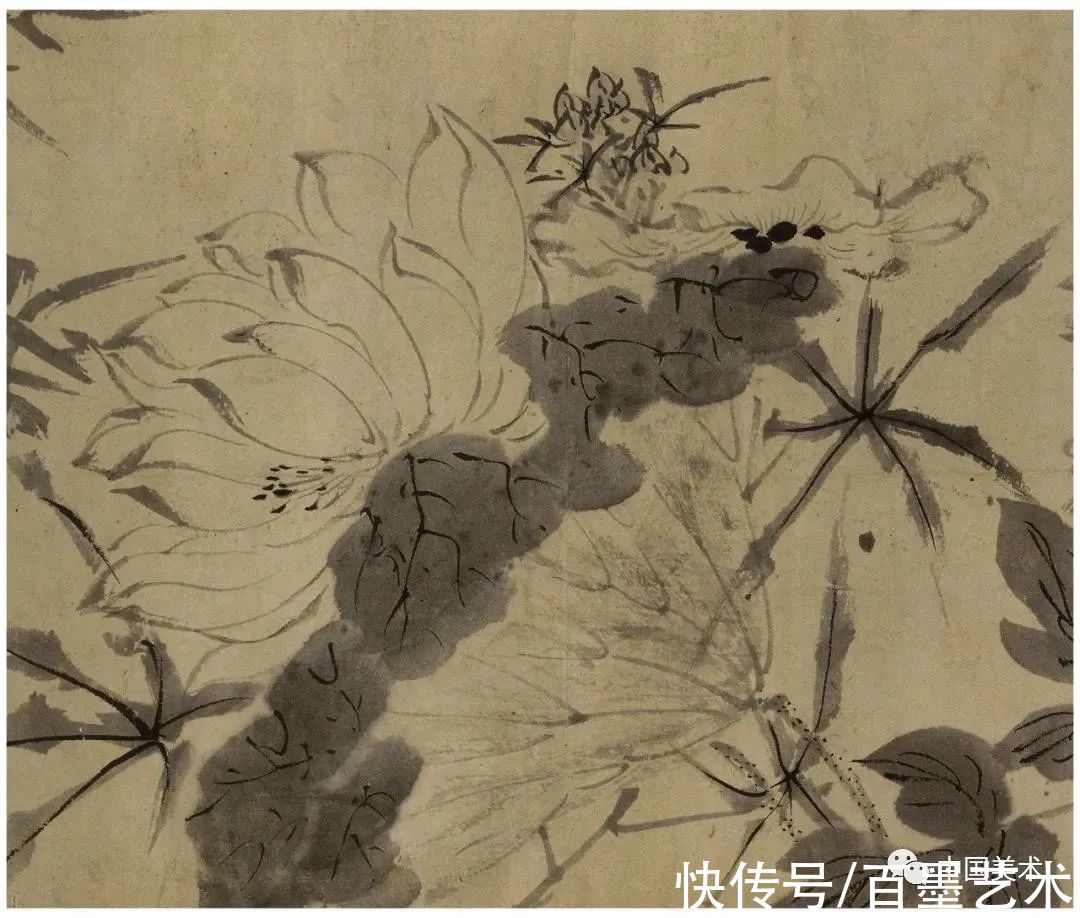 明朝@青藤白阳：明朝花鸟两大高峰