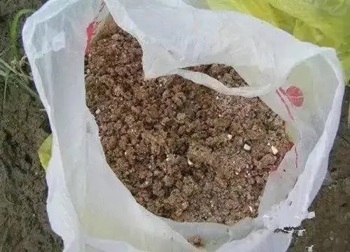 民间|传遍钓鱼圈儿!3种民间奇效窝料,简单、快捷、高效!