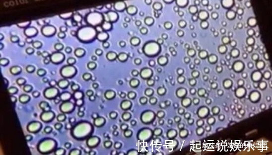 奶粉|“母乳”放大1000倍什么样？显微镜下会动，网友：世间最纯净东西