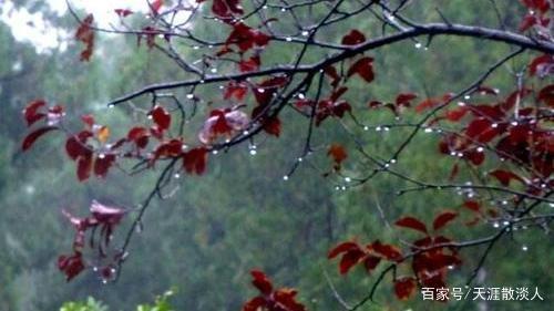 七绝&诗词七绝《相思》