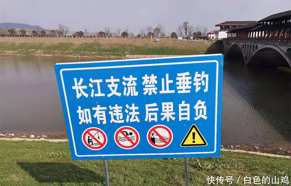 丹徒区水产批发：水产品的海洋盛宴