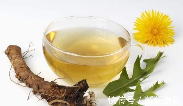 服用|蒲公英泡水喝有讲究，四大好处和三大禁忌一定要了解