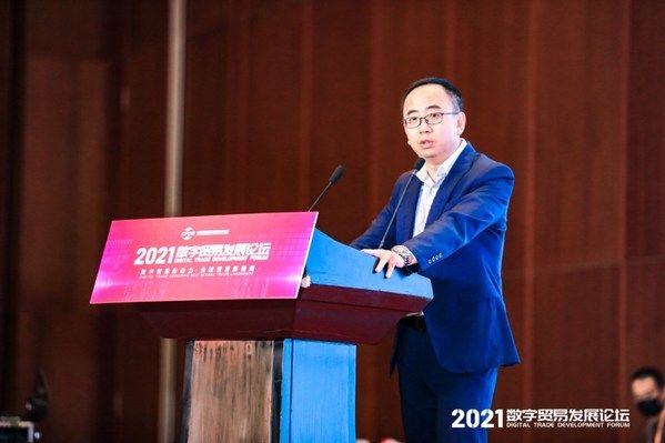 世界经济|软通动力杨念农在服贸会：数字软通助力企业发展数字贸易