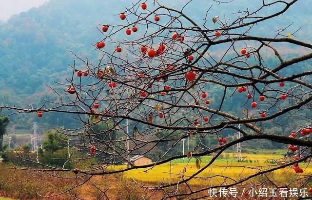 锦绣中国|坐落在龙脉上的祖庙，迷人的自然风光，古村会使你心驰神往