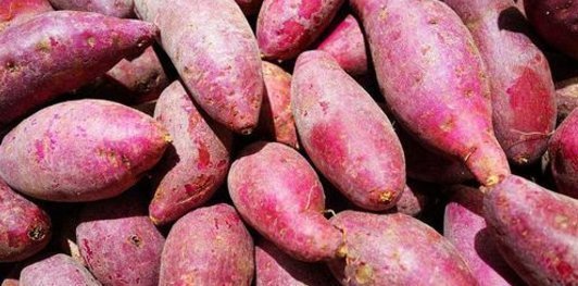 禁忌|被红薯送进医院急诊医生红薯的4个禁忌,大家要明白