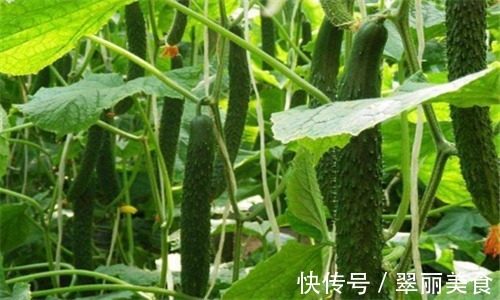 糖尿病人|秋天不妨坚持吃4种食物,滋补肝肾,排毒减肥,改善血液循环