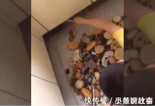 黄金时间|弟弟玩具被抢,向妈妈举报哥哥秘密基地,爸爸:请给孩子完整童年