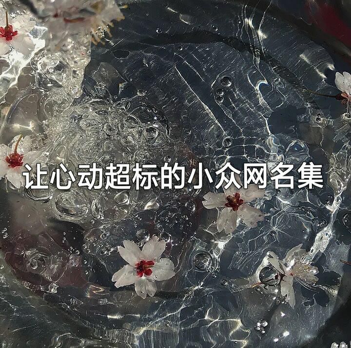 让心动超标的小众网名