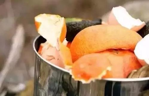 在家自制“肥水”，给花浇点，叶子不黄呼呼开花！