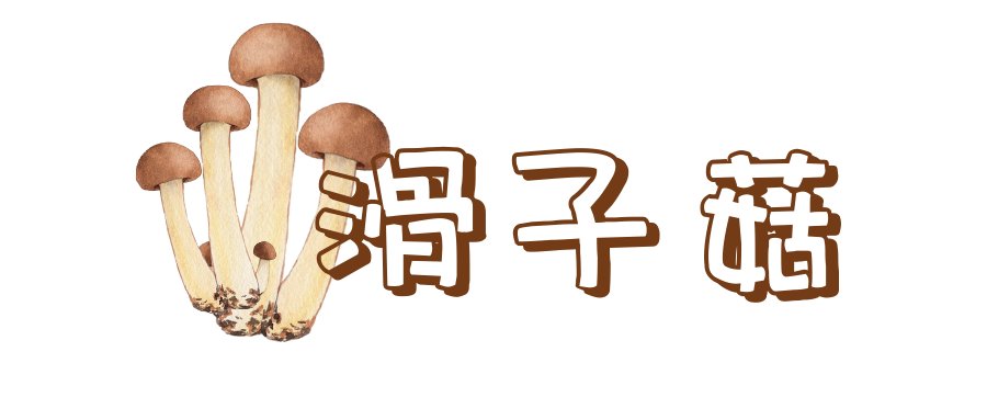 野生菌菇|野生菌菇没吃够，这样储存吃一年！