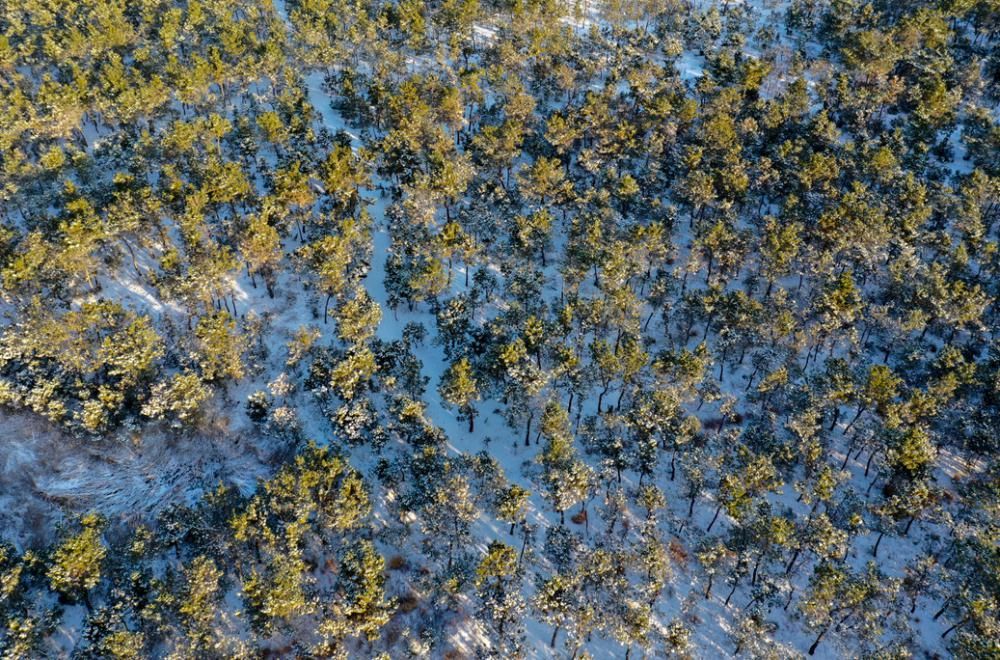 瑞雪来临，福至南海