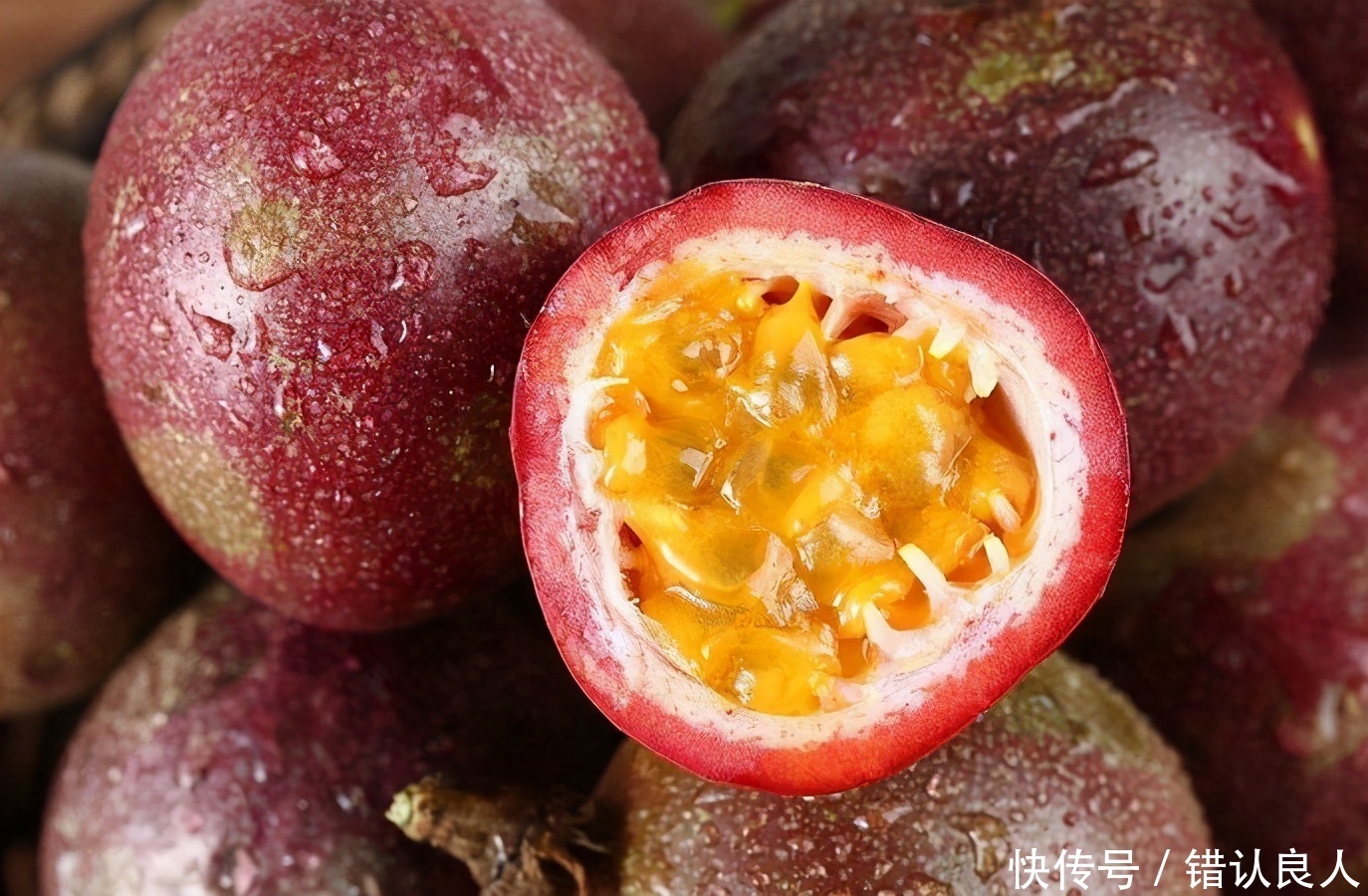 女性养生,多吃此食物,滋补身体,益气补血,提高人体免疫力