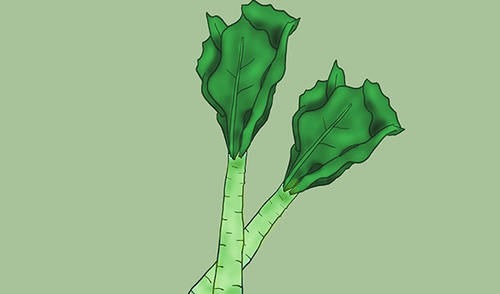 营养素|骨质疏松患者,别急着补钙,补充3种营养素是关键,否则无济于事