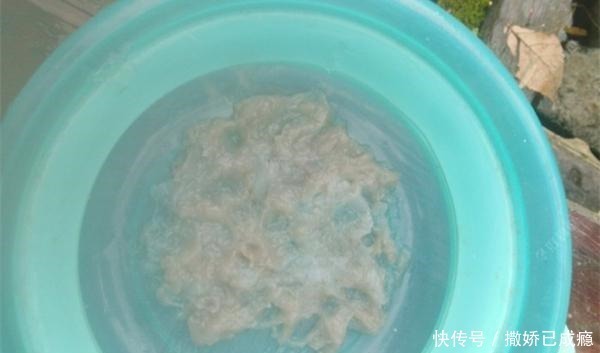 饵料|冬季钓鲫鱼,推荐几款自制拉饵,成本几块钱,比商品饵更好用