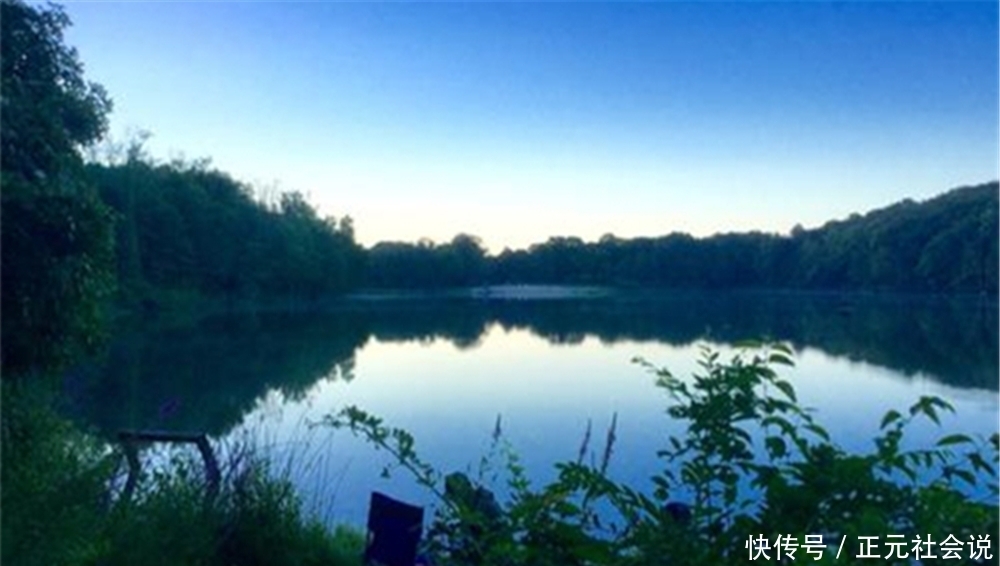 雨天|夏季钓鱼钓早晚,晴天雨天不一样,看准时机再出门,大鱼连竿上!