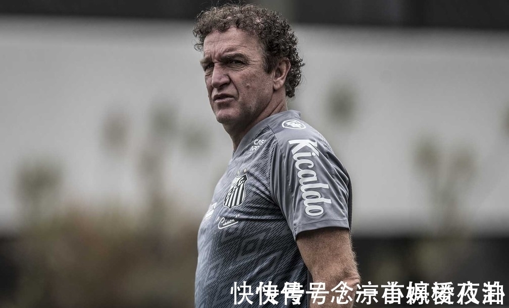 米内罗|鲁能前主帅率队成巴甲领头羊,上港旧将大杀四方,夺冠有了双保险