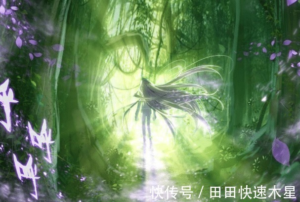 霍雨浩|斗罗大陆神界最特殊的一级神祇,地位比神王高,实力比神王强