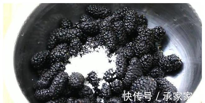桑树|桑葚熟了，教你做好吃的桑葚酱，放1年不变质，学会做给家人吃