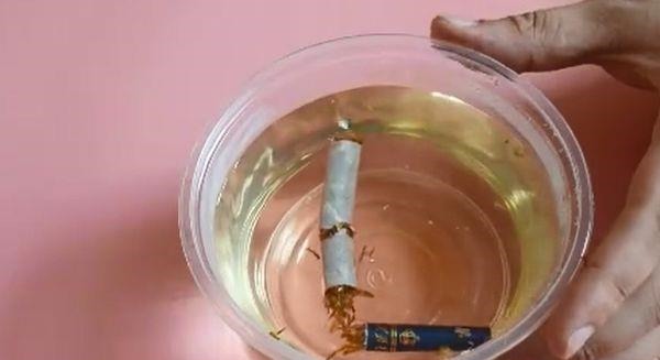 纱窗脏了根本不用拆下来洗,只需用一根香烟,纱窗立马干净如新