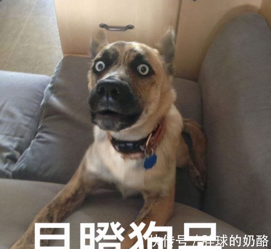 冷门|12个冷门小知识,快进来看看呀