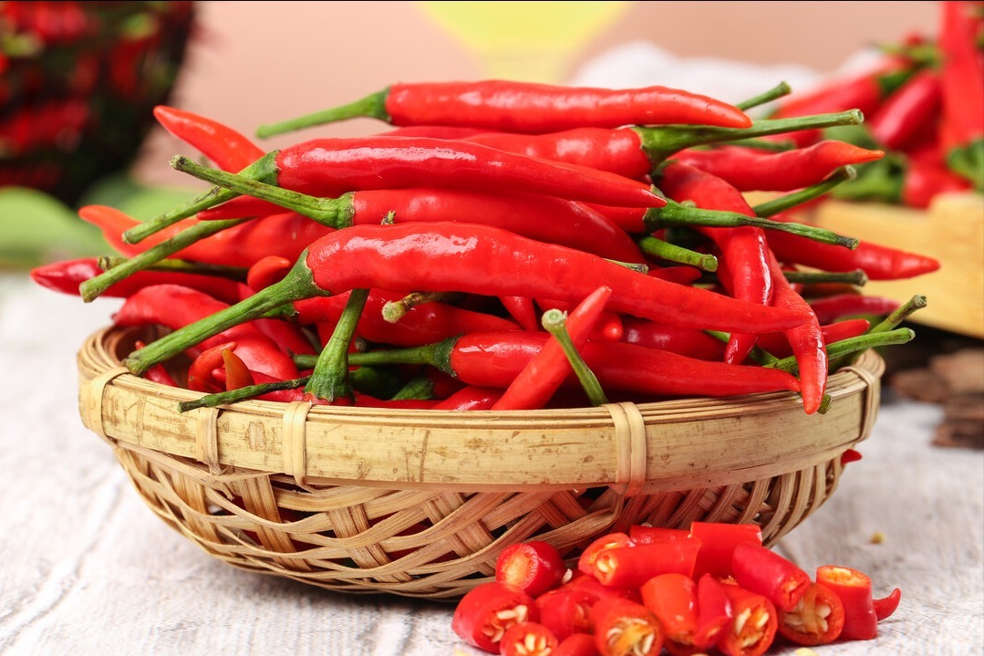 小米椒|小米椒降价了,保存不能直接放冰箱,给你支一招,放一年还很新鲜