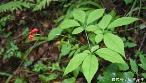 前列腺炎“缠身”怎么办？坚持做好4件事，不用花钱也能慢慢好