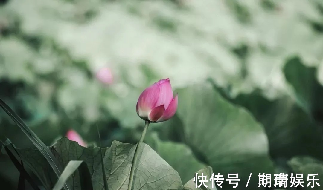 石钟山记@苏轼散文名句15则,学做人、学处世,你会受益无穷