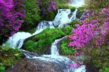 寂寞梧桐深院锁清秋$袁枚的一首五律,前六句看似平淡,最后两句却如奇峰突起