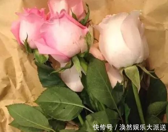 花店|花店买回来的插花不要丢,只要简单的几步,鲜花就能生根