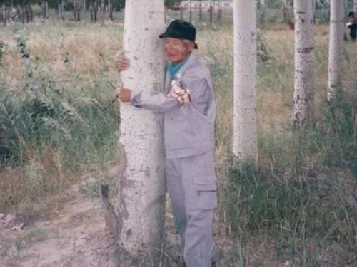 目的|日本人花14年在中国种树，究竟有什么目的？背后原因令人不敢相信