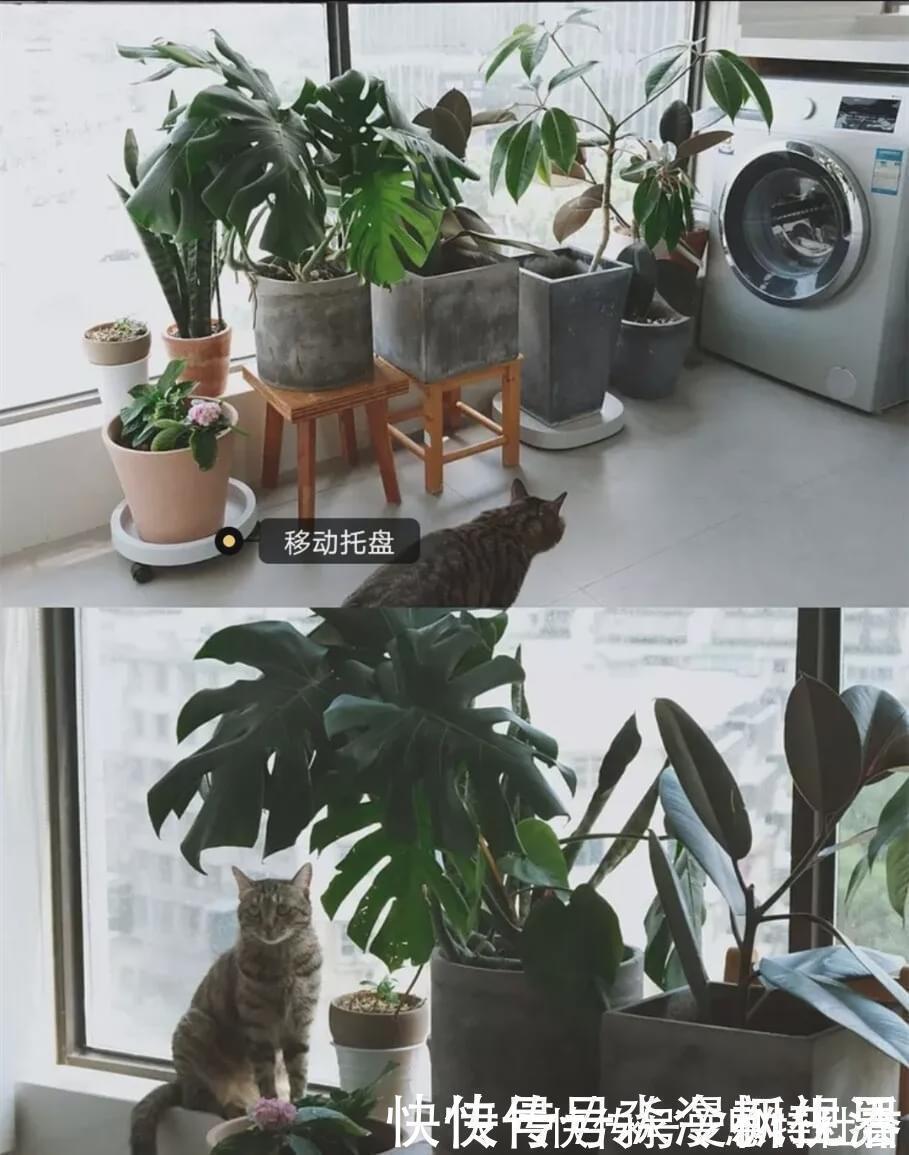 阳台|我家阳台用了4年越用越舒服，天天有人取经如何装修，必须晒晒