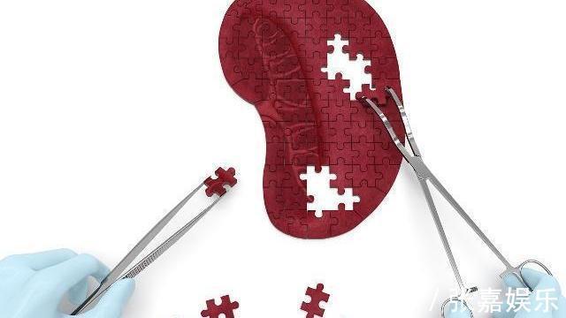 泡水|枸杞三斤可能抵不过此物一钱,泡水喝点,降火补脾,肝慢慢变好