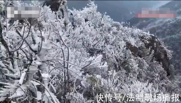 视频|“佛山大道”下雪视频疯传!真相来了