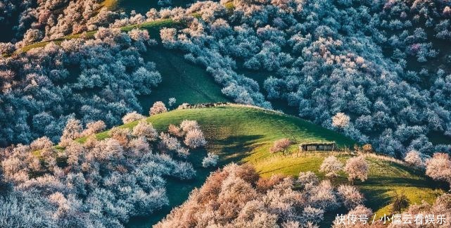 大唐|阳春三月,春回大地,三月赏花好去处