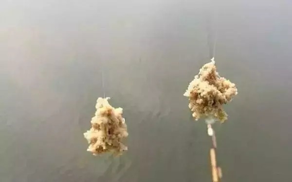 天冷用拉饵还是搓饵？不怕钓不到鱼，试试这三个钓鱼高手秘密
